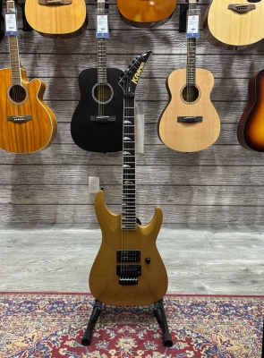 Kramer SM-1 H Buzzsaw Gold